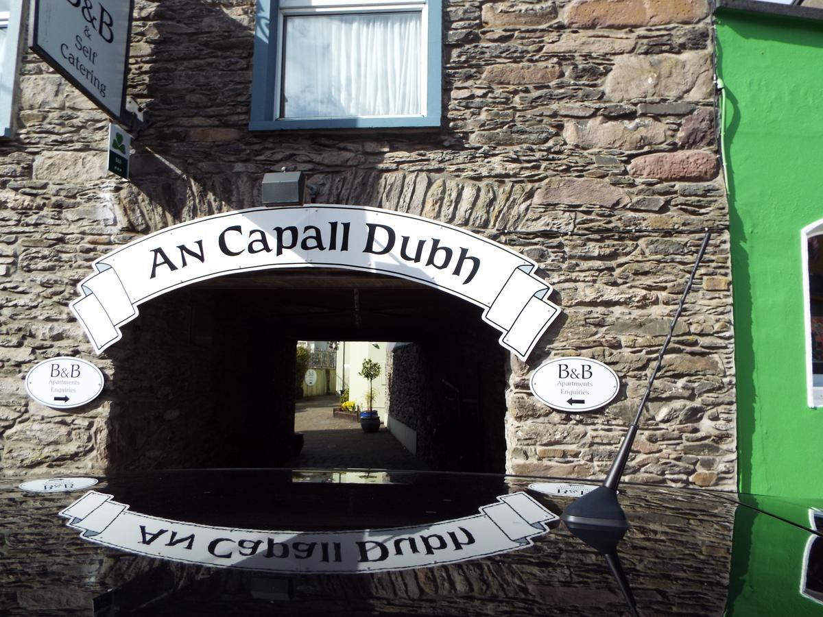 An Capall Dubh B&B Dingle Exterior photo