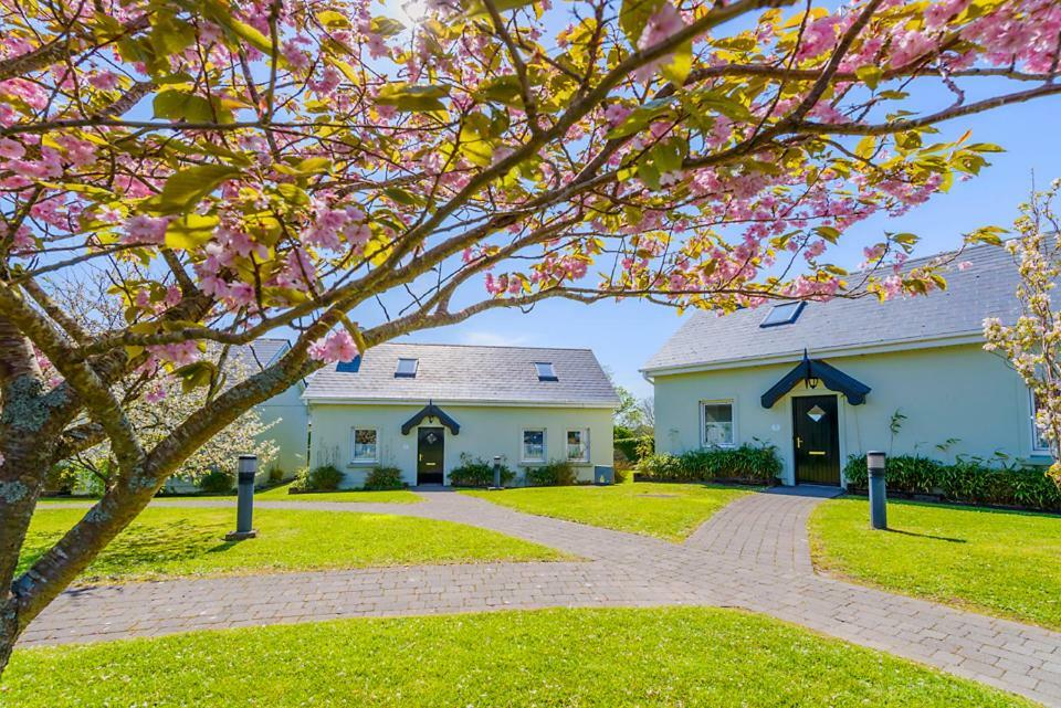 An Capall Dubh B&B Dingle Exterior photo
